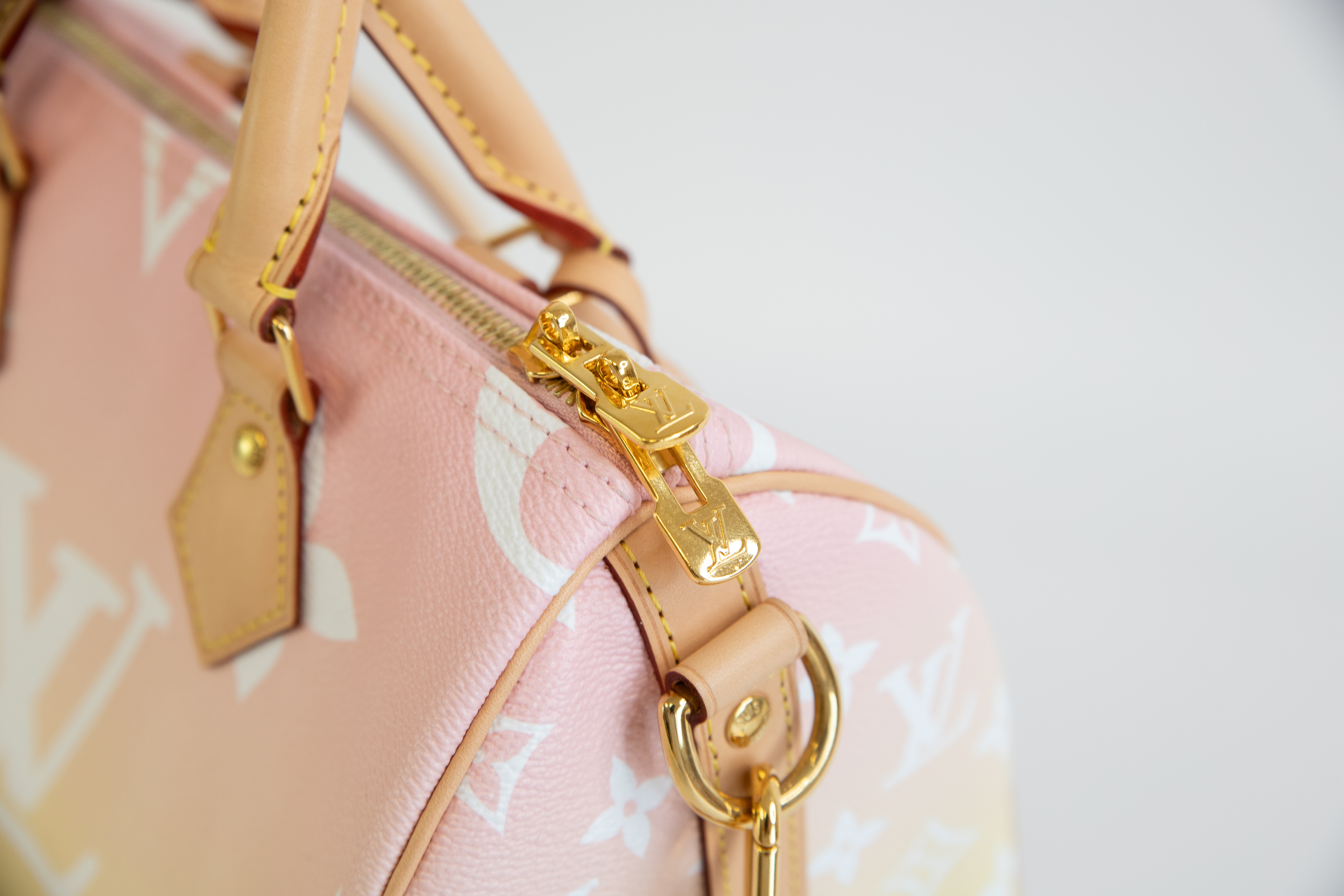 Louis Vuitton Speedy 25 Summer by the Pool
