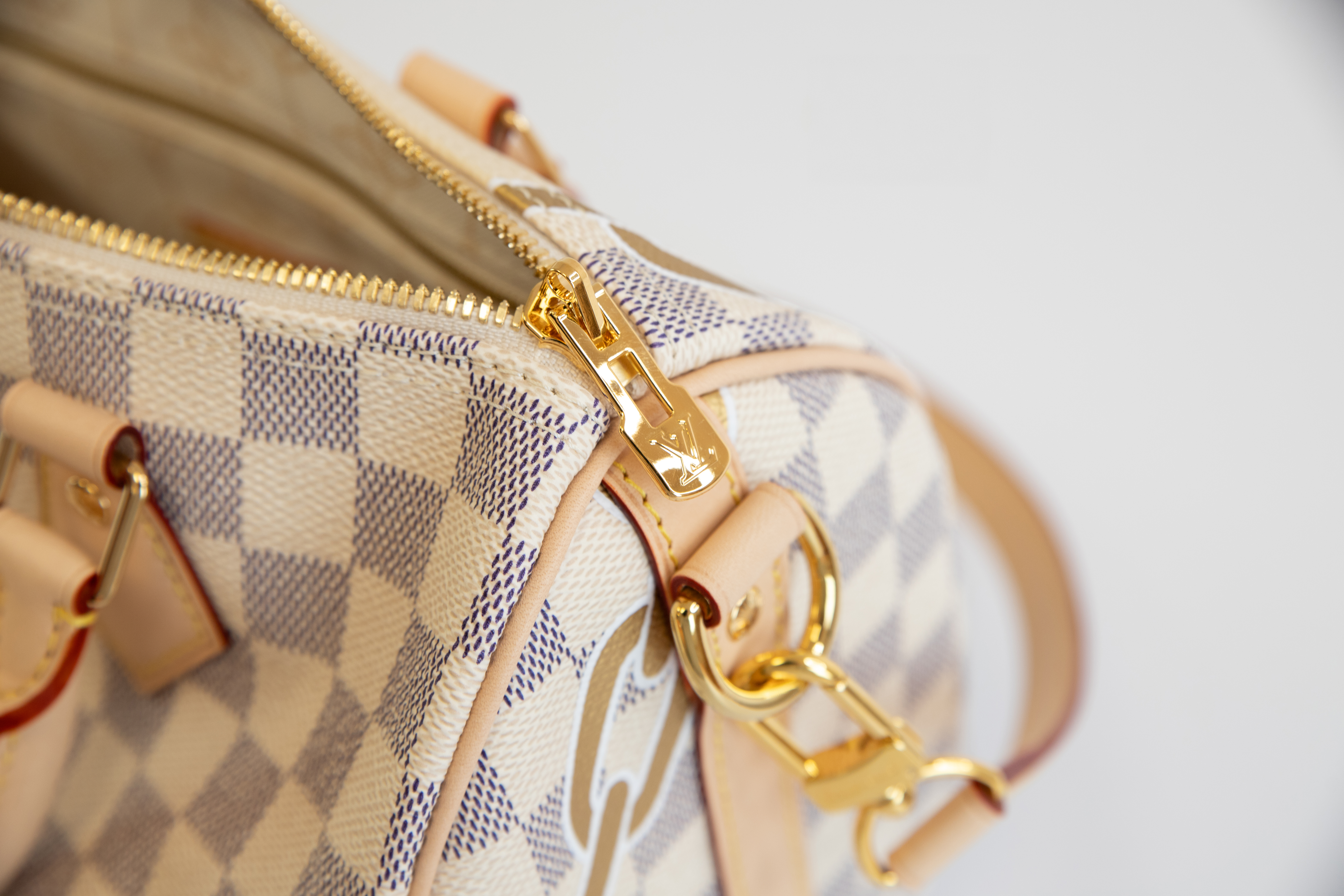 Louis Vuitton Speedy 25 Bandouliere Nautical