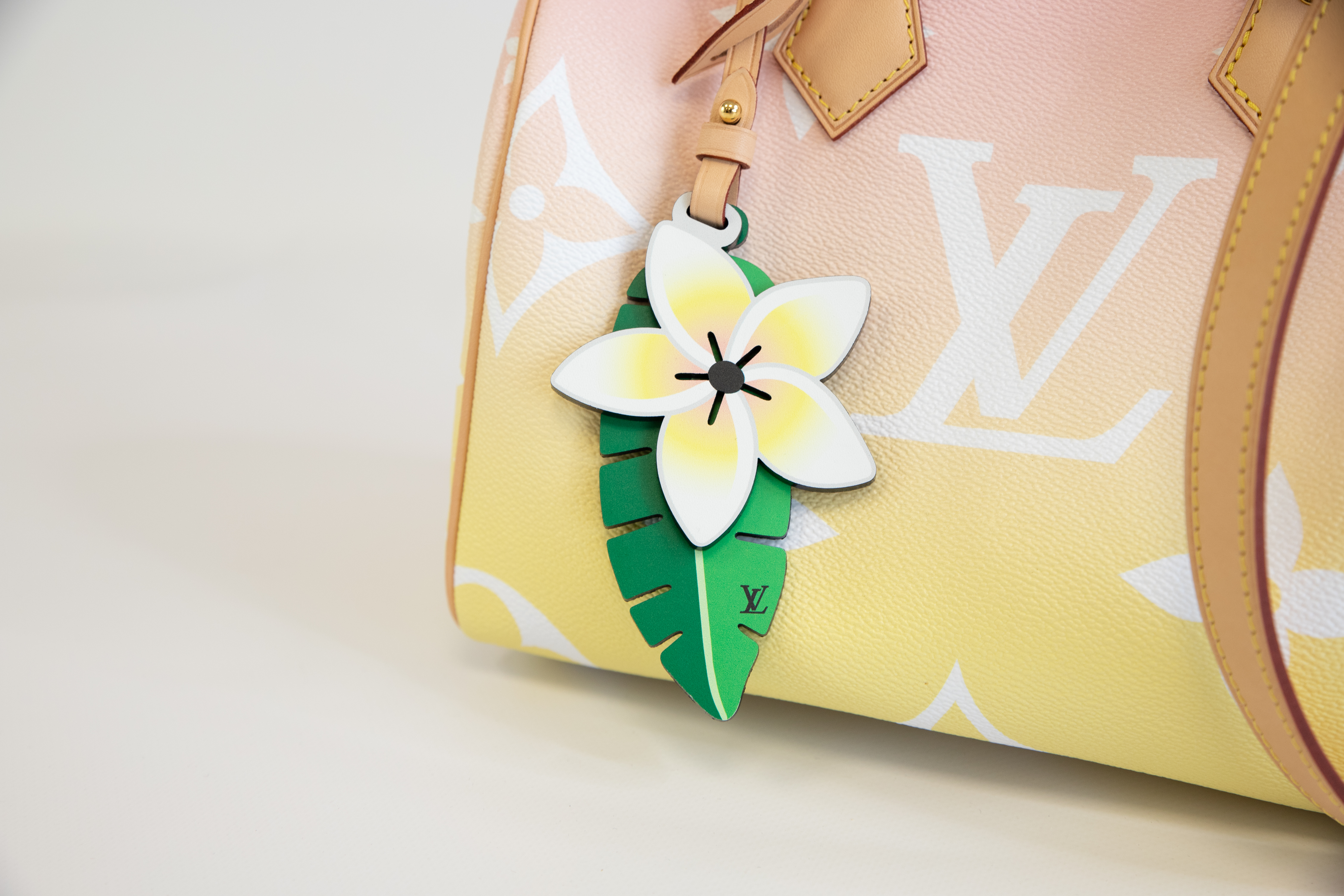 Louis Vuitton Speedy 25 Summer by the Pool
