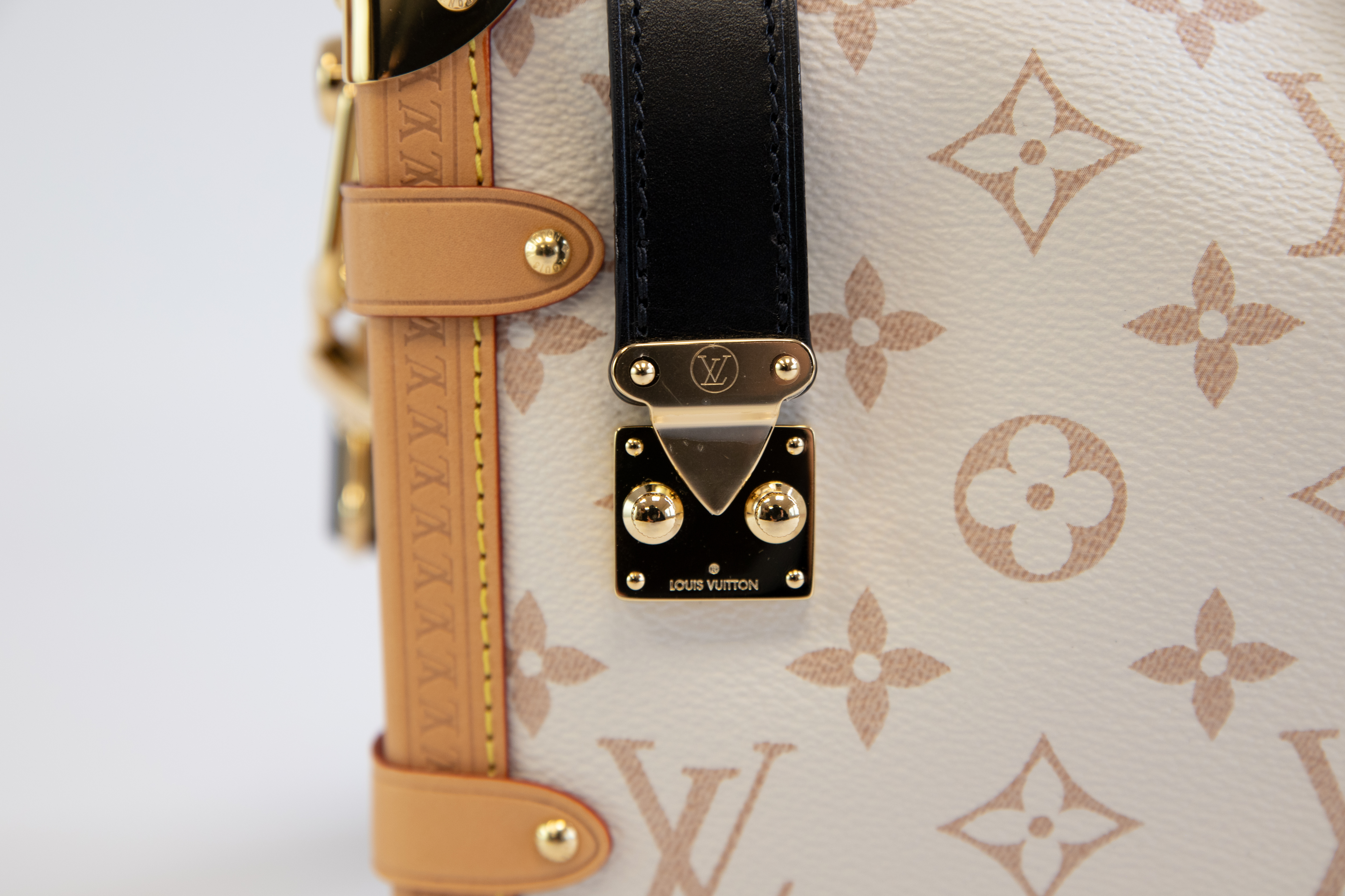 Louis Vuitton Side Trunk MM