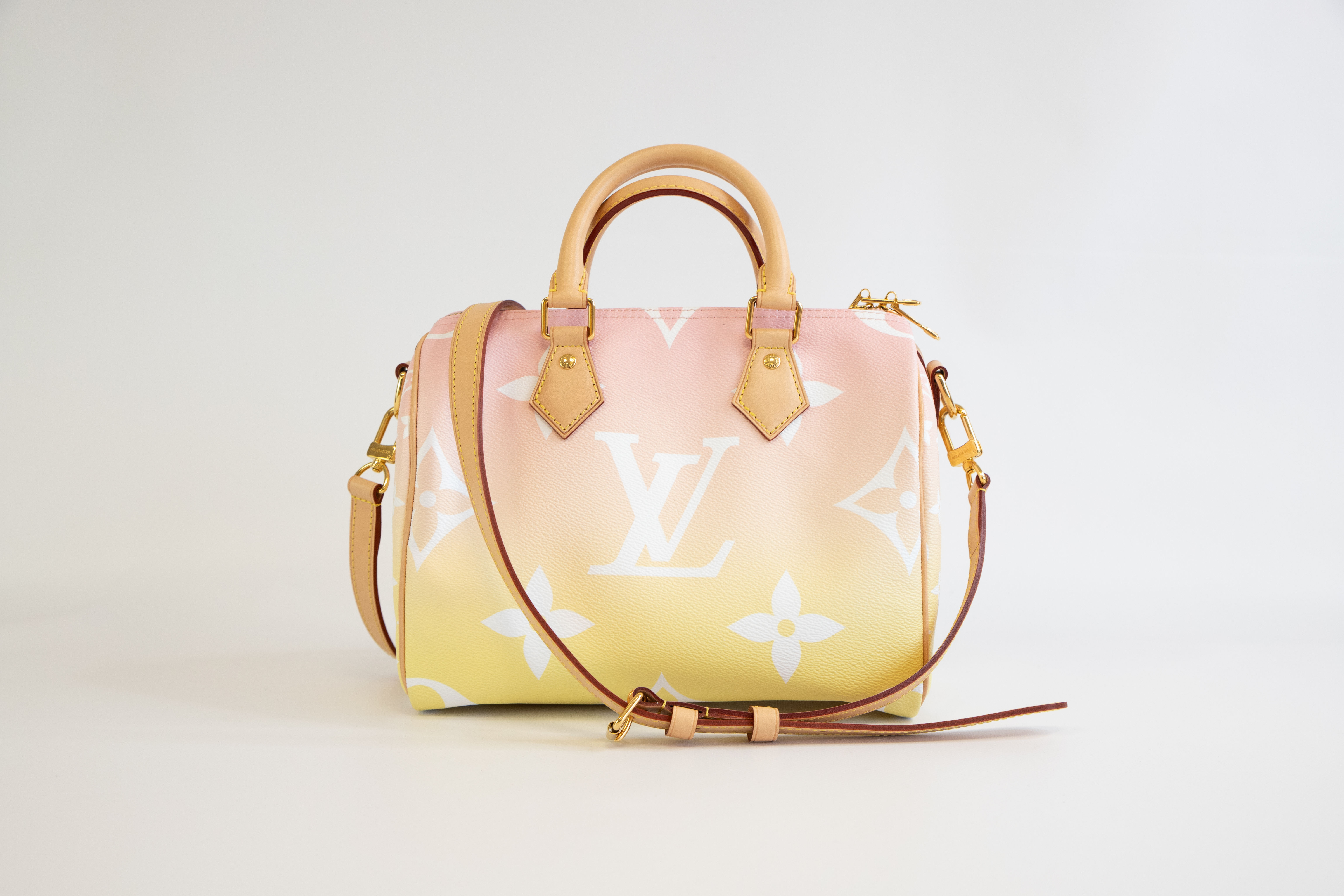 Louis Vuitton Speedy 25 Summer by the Pool