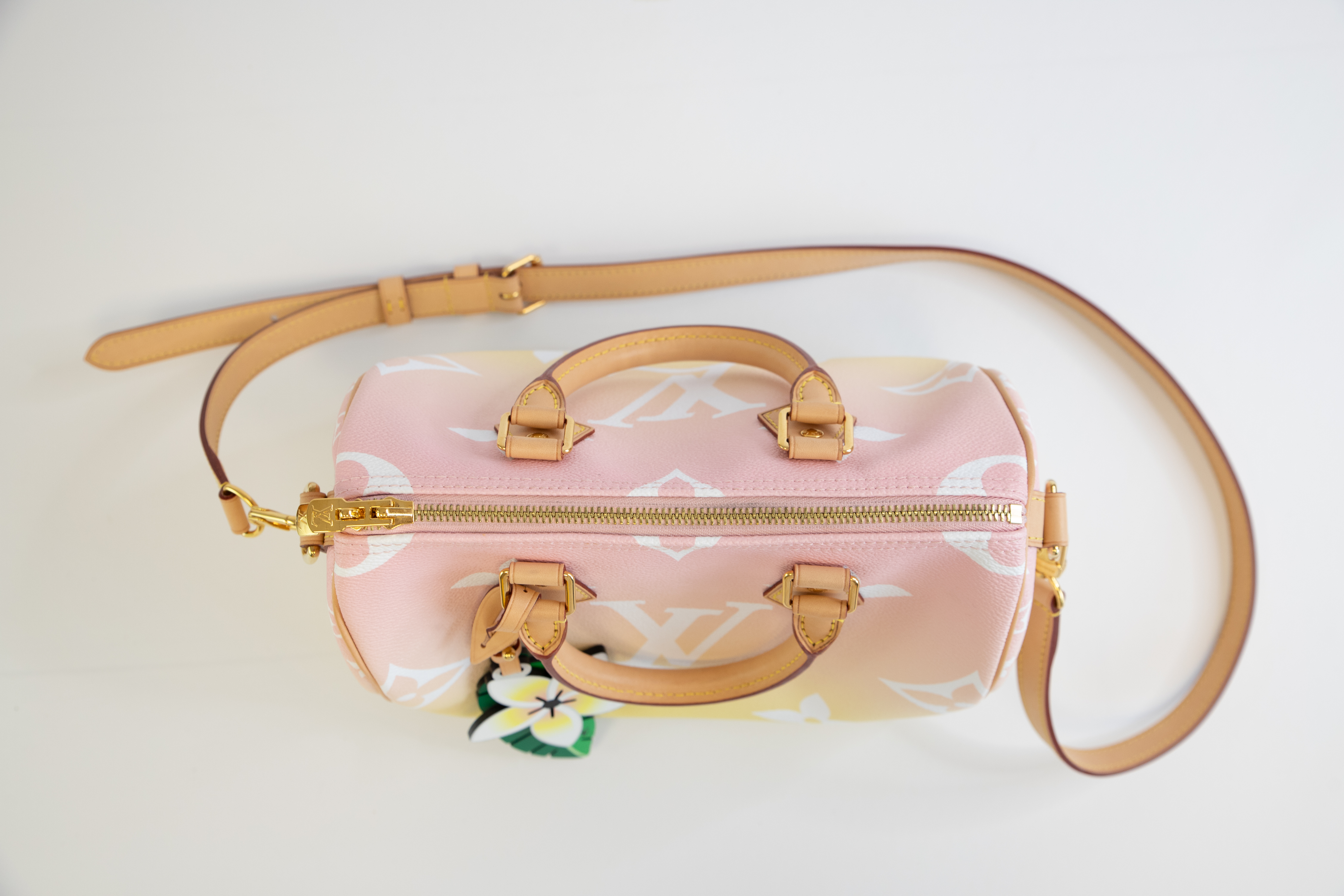 Louis Vuitton Speedy 25 Summer by the Pool