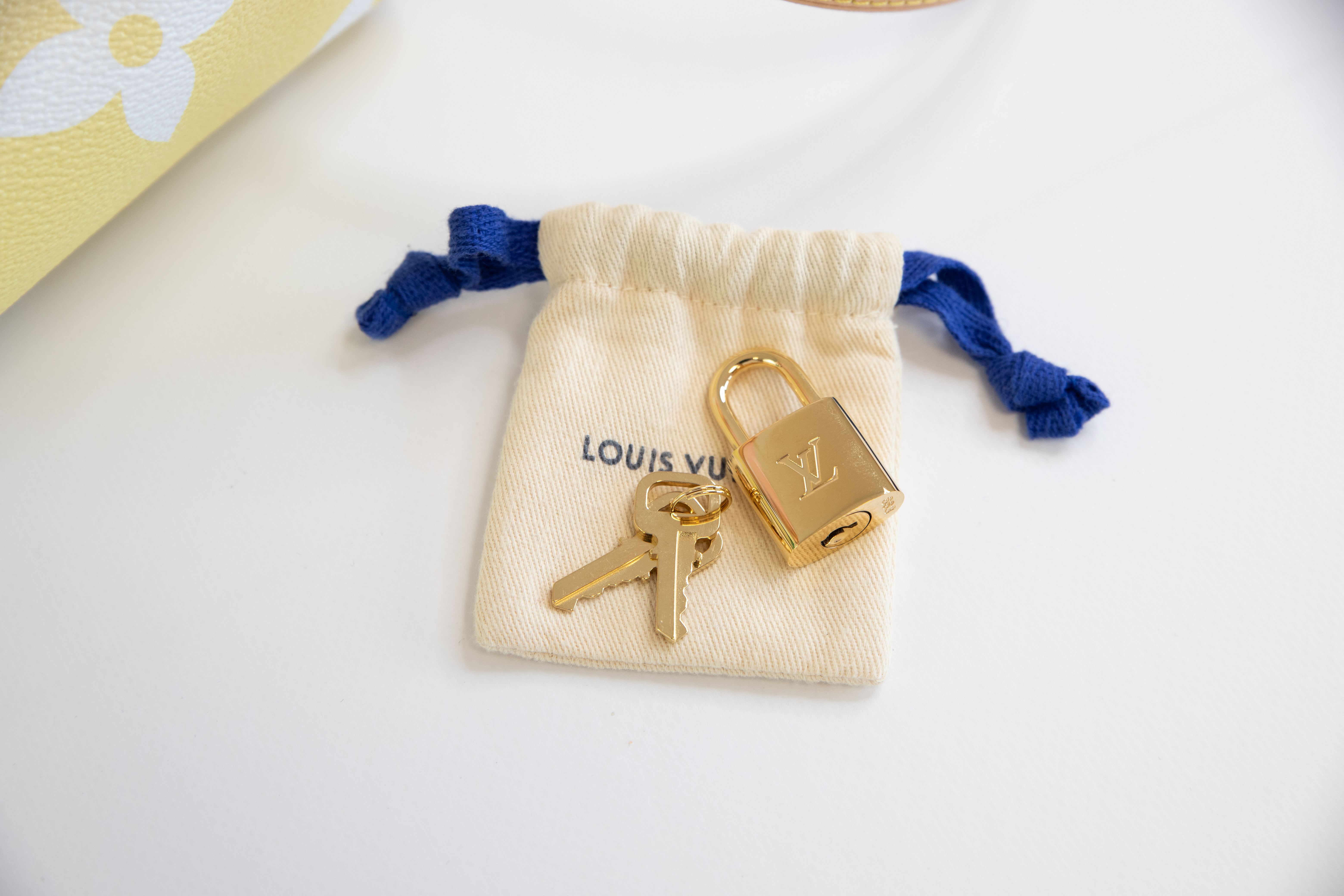 Louis Vuitton Speedy 25 Summer by the Pool
