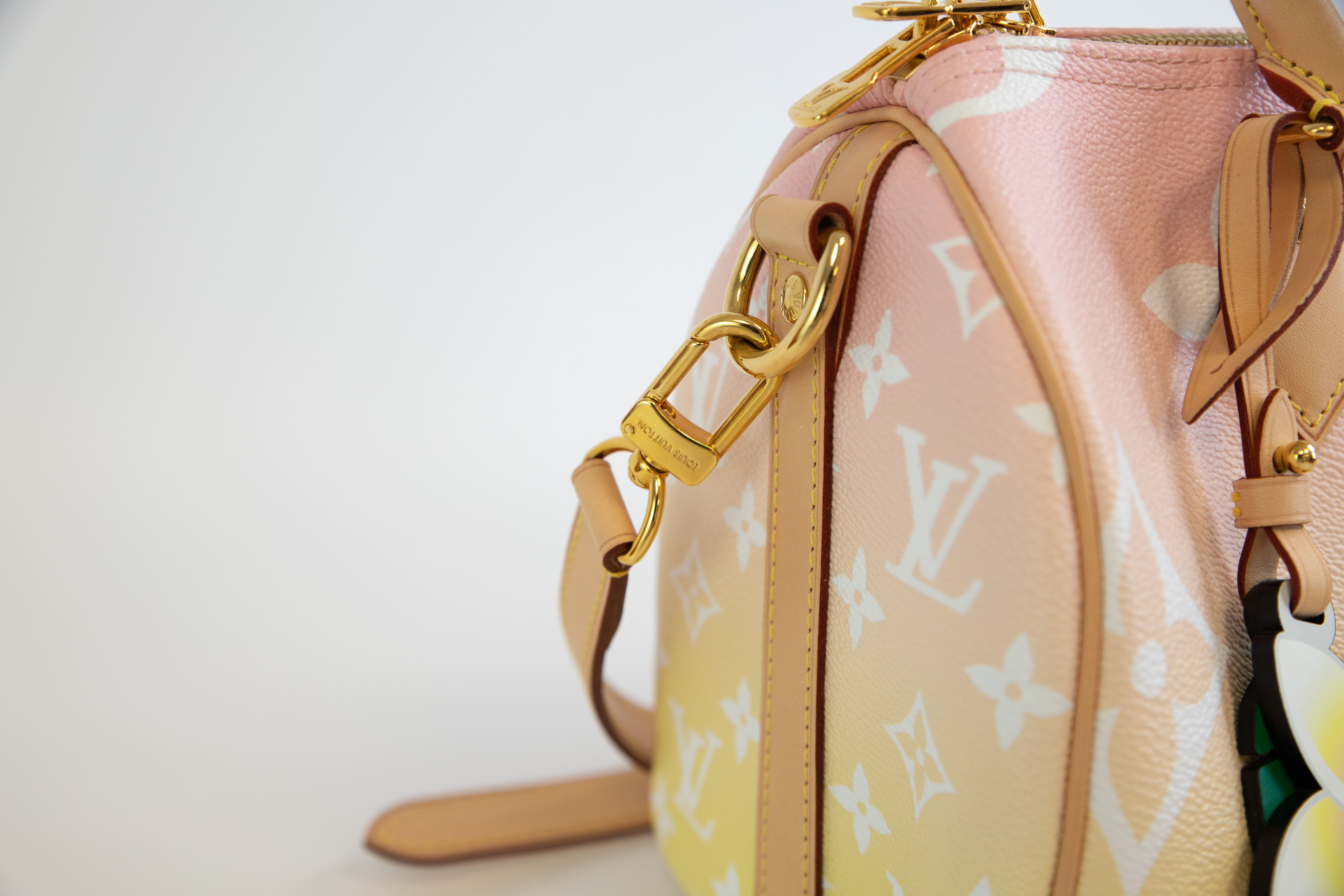 Louis Vuitton Speedy 25 Summer by the Pool
