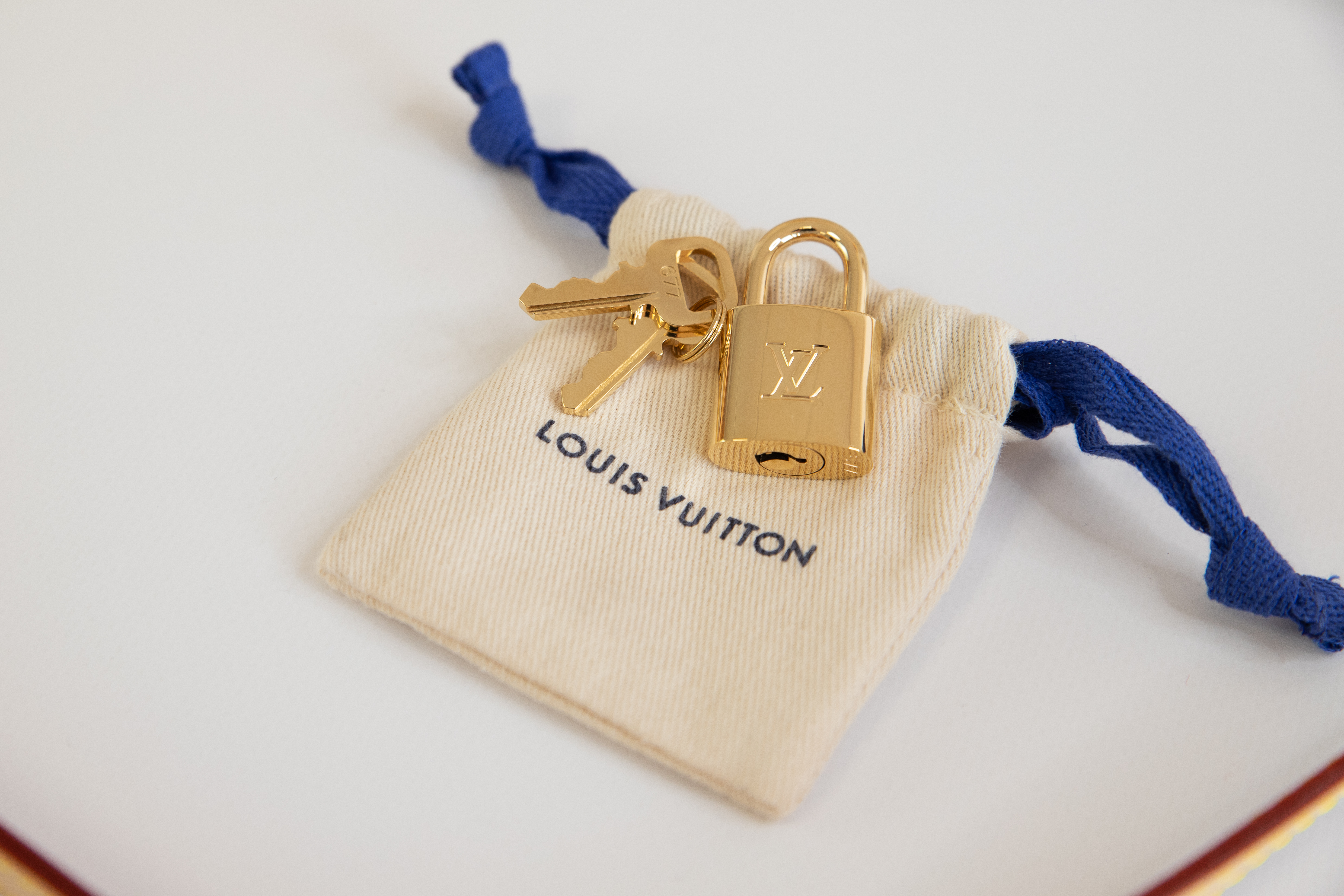 Louis Vuitton Speedy 25 Bandouliere Nautical