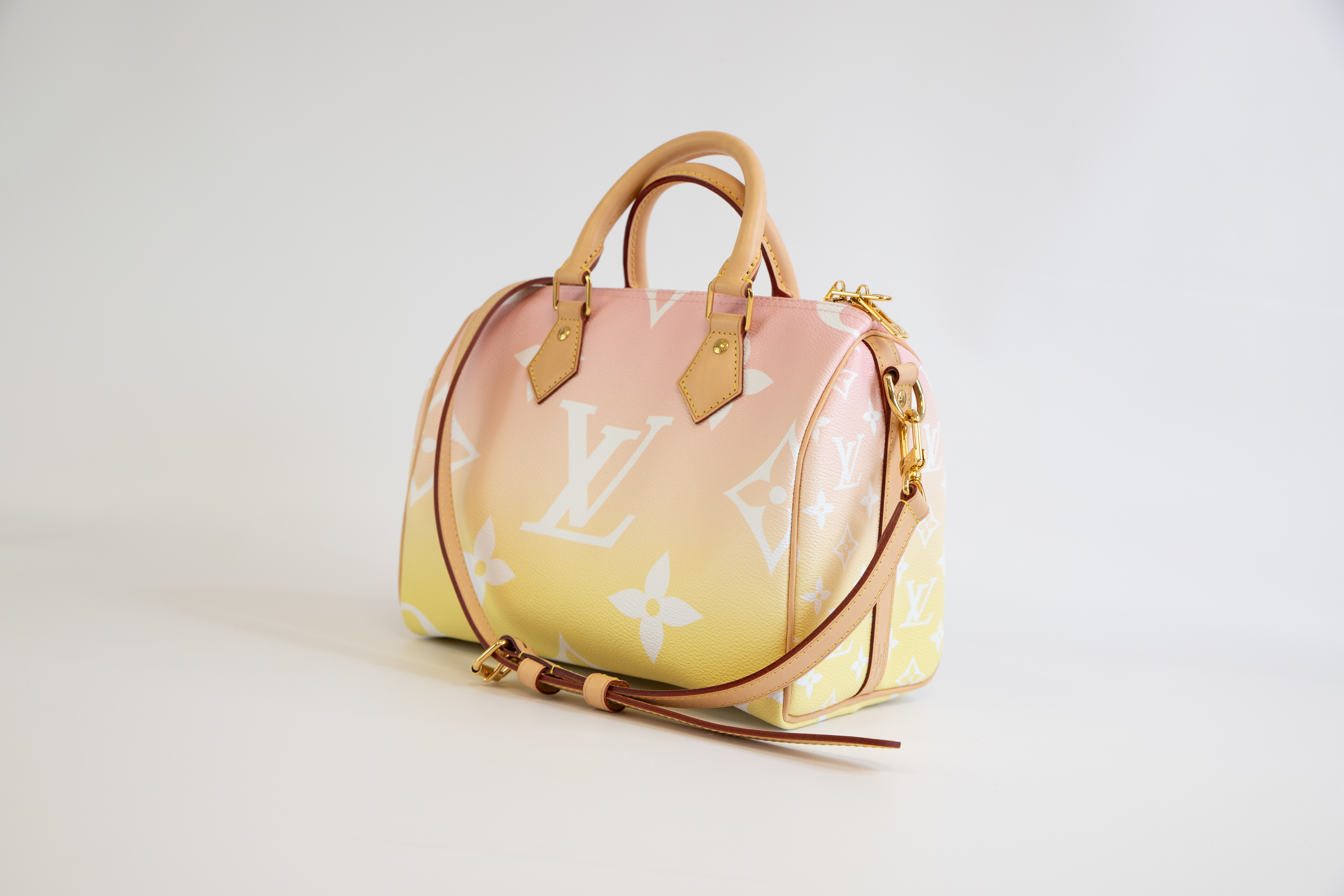 Louis Vuitton Speedy 25 Summer by the Pool