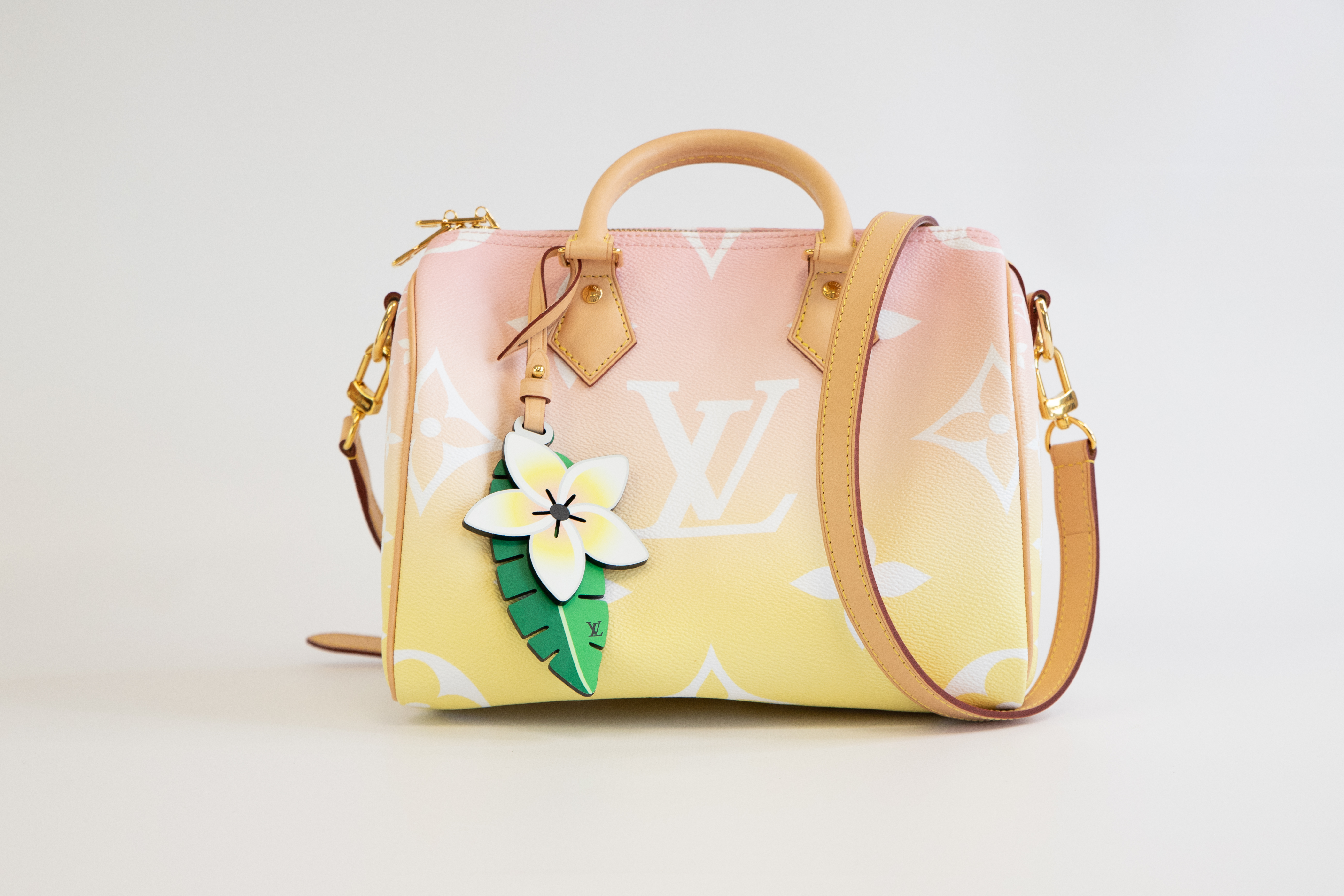 Louis Vuitton Speedy 25 Summer by the Pool